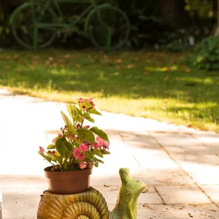 Dimitriadis Fresh Edem * Limenas (Thasos)