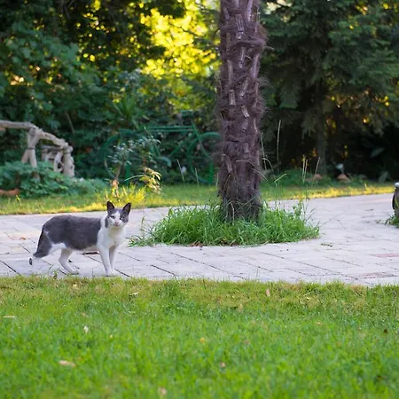 Appartamento Dimitriadis Fresh Edem