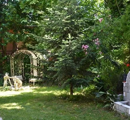 Dimitriadis Fresh Edem 萨索斯