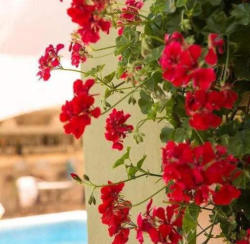 Dimitriadis Fresh Edem Limenas (Thasos)