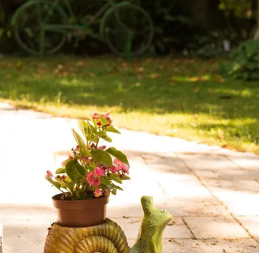 Dimitriadis Fresh Edem * Limenas (Thasos)