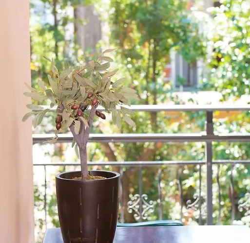 Dimitriadis Fresh Edem Daire