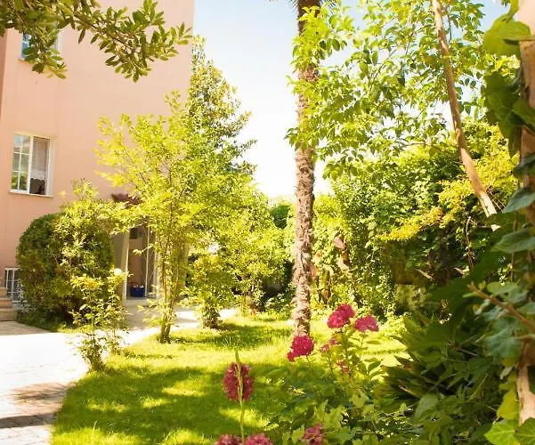 Dimitriadis Fresh Edem *